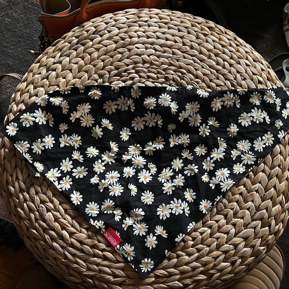 Scough face mask bandana